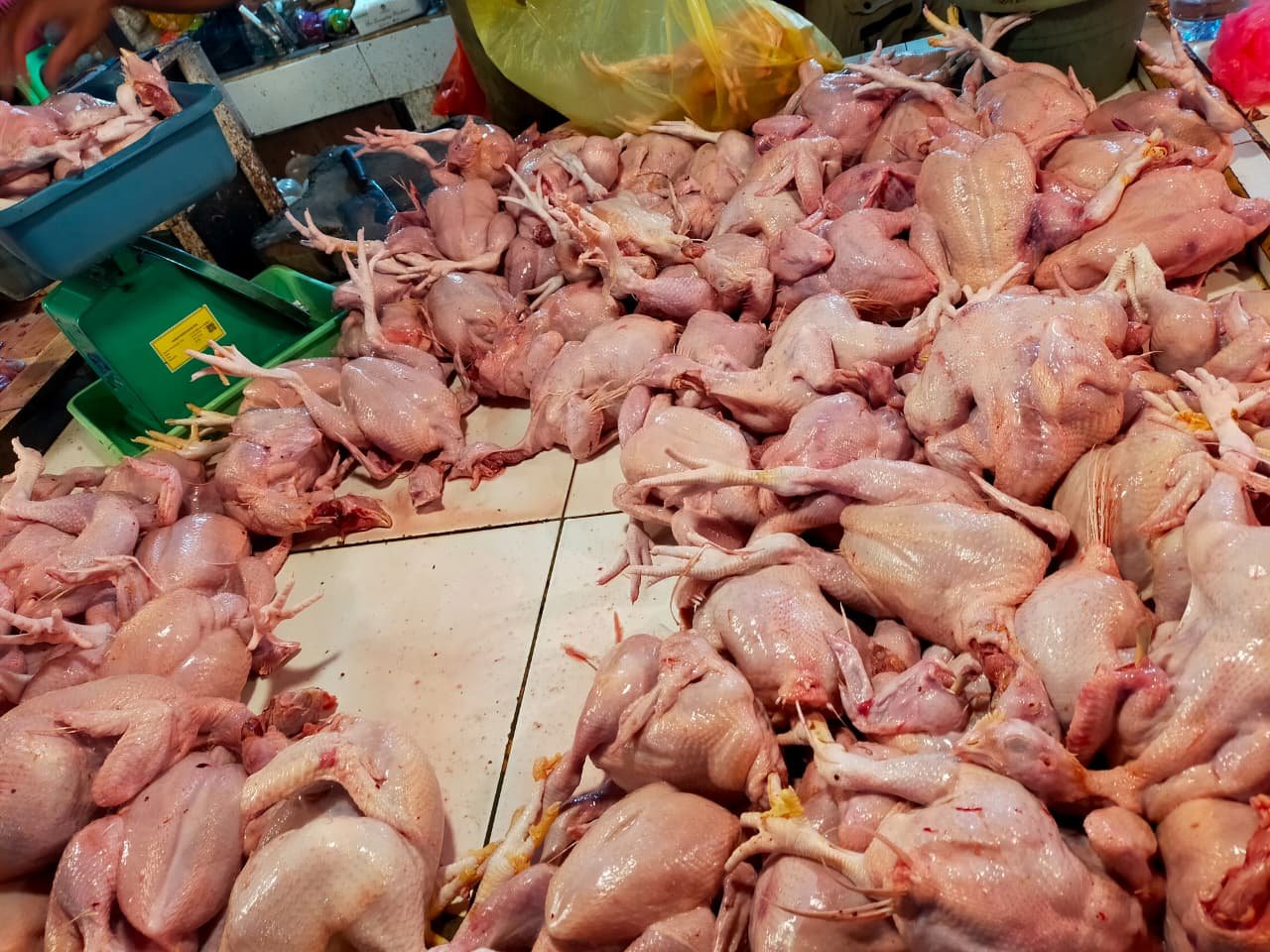 Tumpukan ayam potong di Pasar Flamboyan.