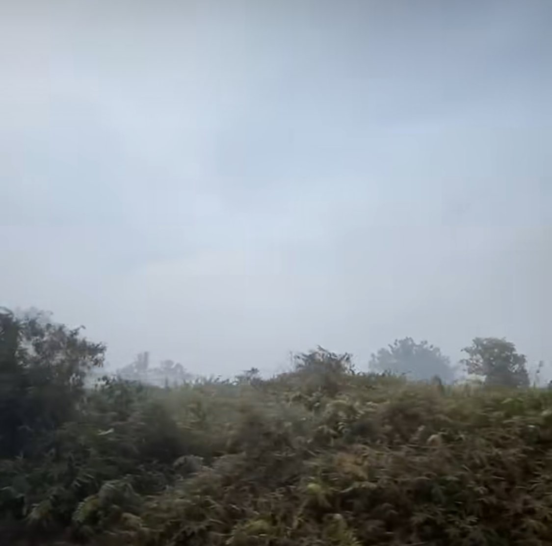 Kabut asap di Ketapang akibat kebakaran hutan. Foto: Dok. Istimewa